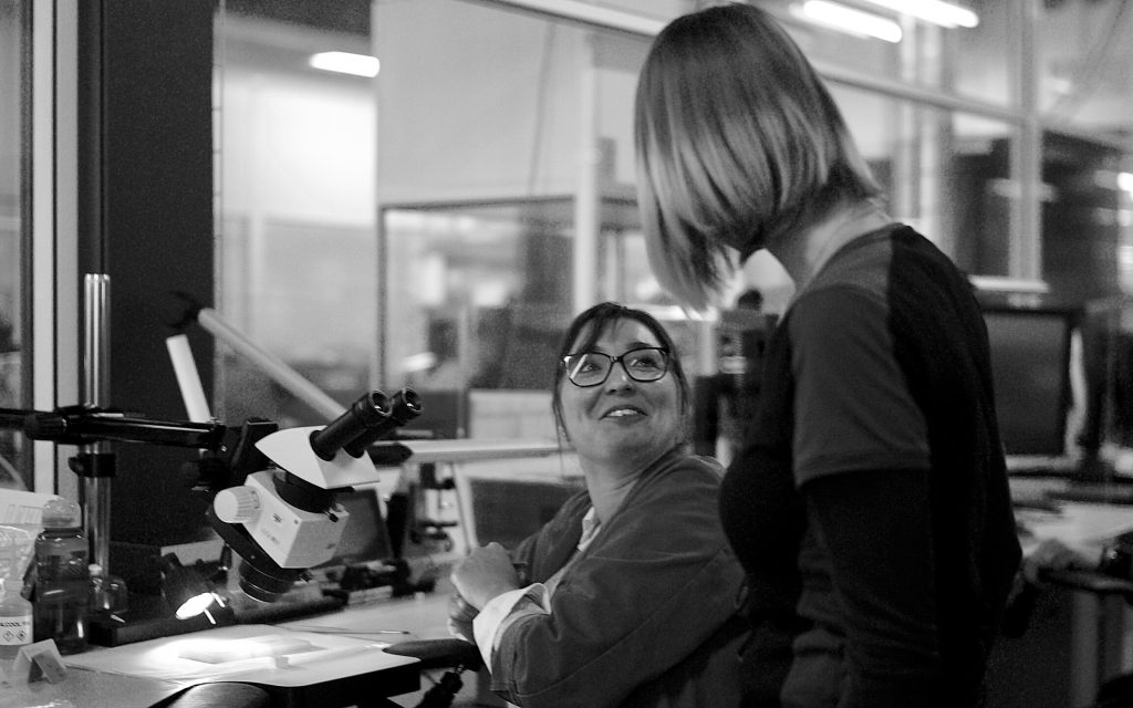 Nos services - Gestion de projet